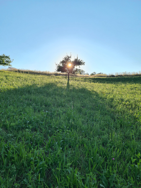 Find any shade available Find any shade available