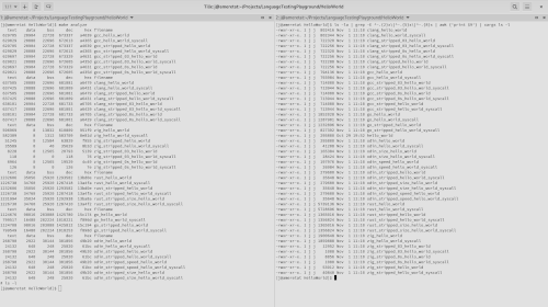 File size, data size, and memory size of c, clang, zig, rust, go and odin on x84_64