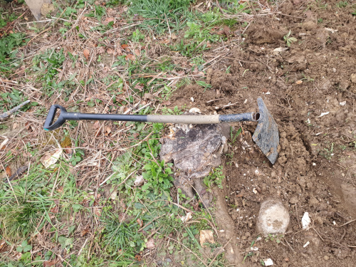 Shovel broken while removing a tree stomp